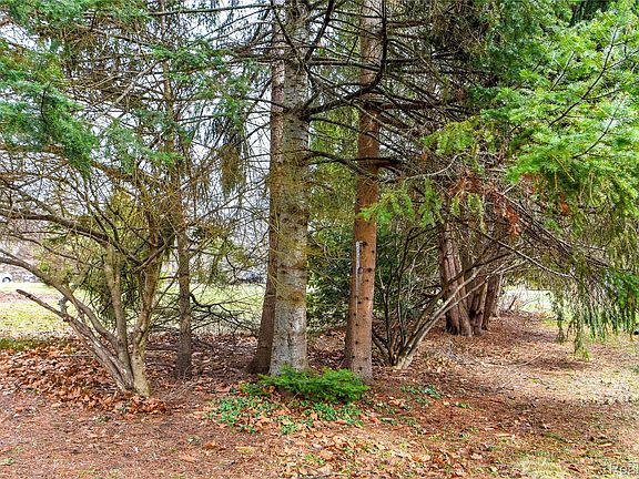 5th image of LOT 64 Merry Rd