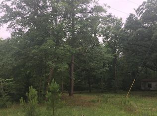 50 Vigilante Rd, Point Blank, TX 77364