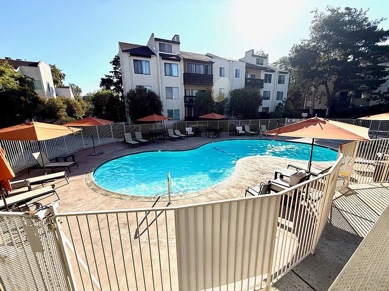 14302 Summertime Ln — Photo 42