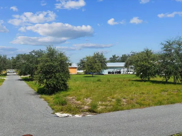 0 869th Loop, Steinhatchee, FL 32359