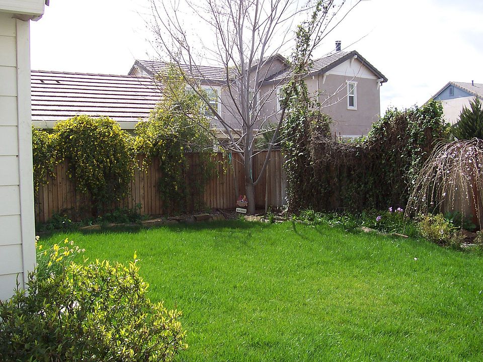 Peaceful Back Yard Garden