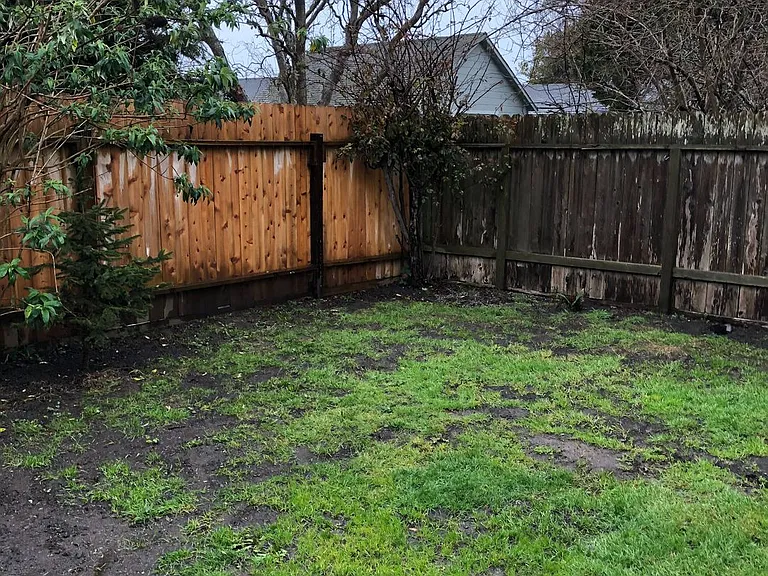 3320 Pine St — Photo 10