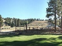 1st image of 41935 Switzerland Dr #20