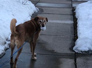 7741 5th Ave, Kenosha, WI 53143