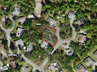 5 Pteris Ct, Homosassa, FL 34446