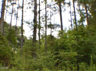 0 Boney Bridge Rd, Graceville, FL 32440