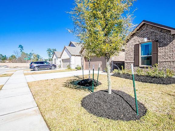 4th image of 20818 Oak Preserve Dr