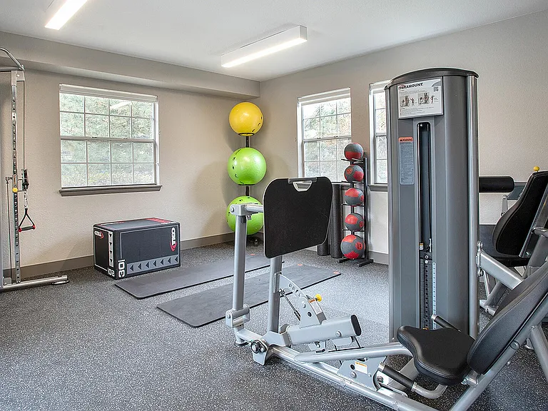 Wellness Starts Here