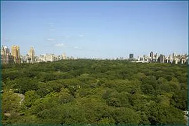 Rented by Ben & Company Inc.