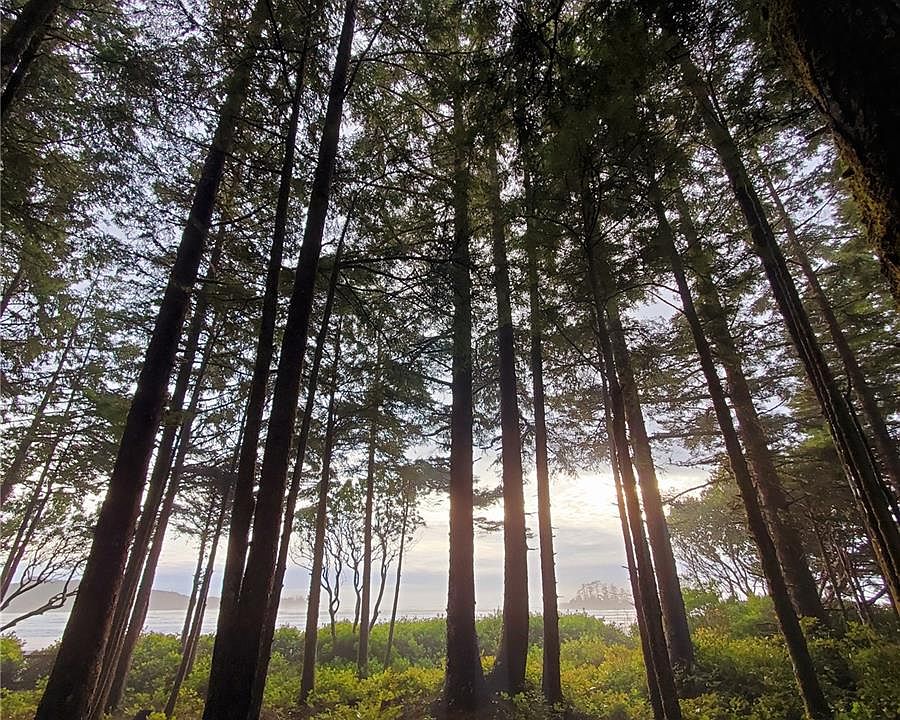 1333 Chesterman Beach Rd, Tofino, BC V0R 2Z0 MLS 921441 Zillow