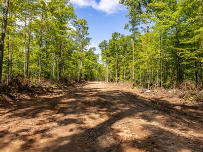 Ison Rd, Crandon, WI, 54520