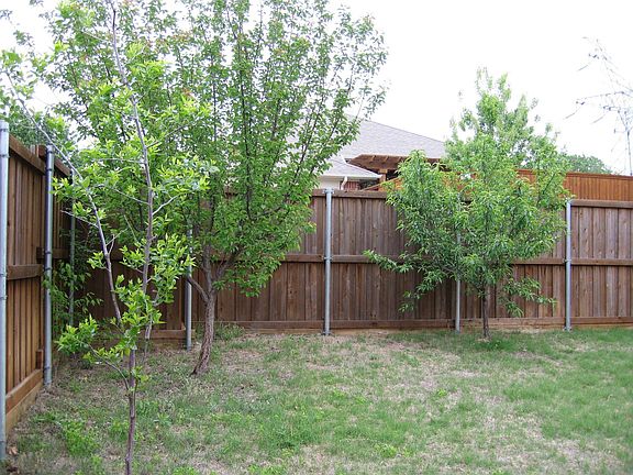 Back Yard (Fruit Trees)