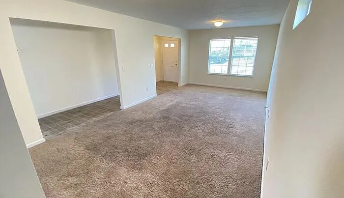 109 Tea Olive Ave — Photo 4