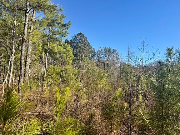 3rd image of 451 Pringlewood Rd