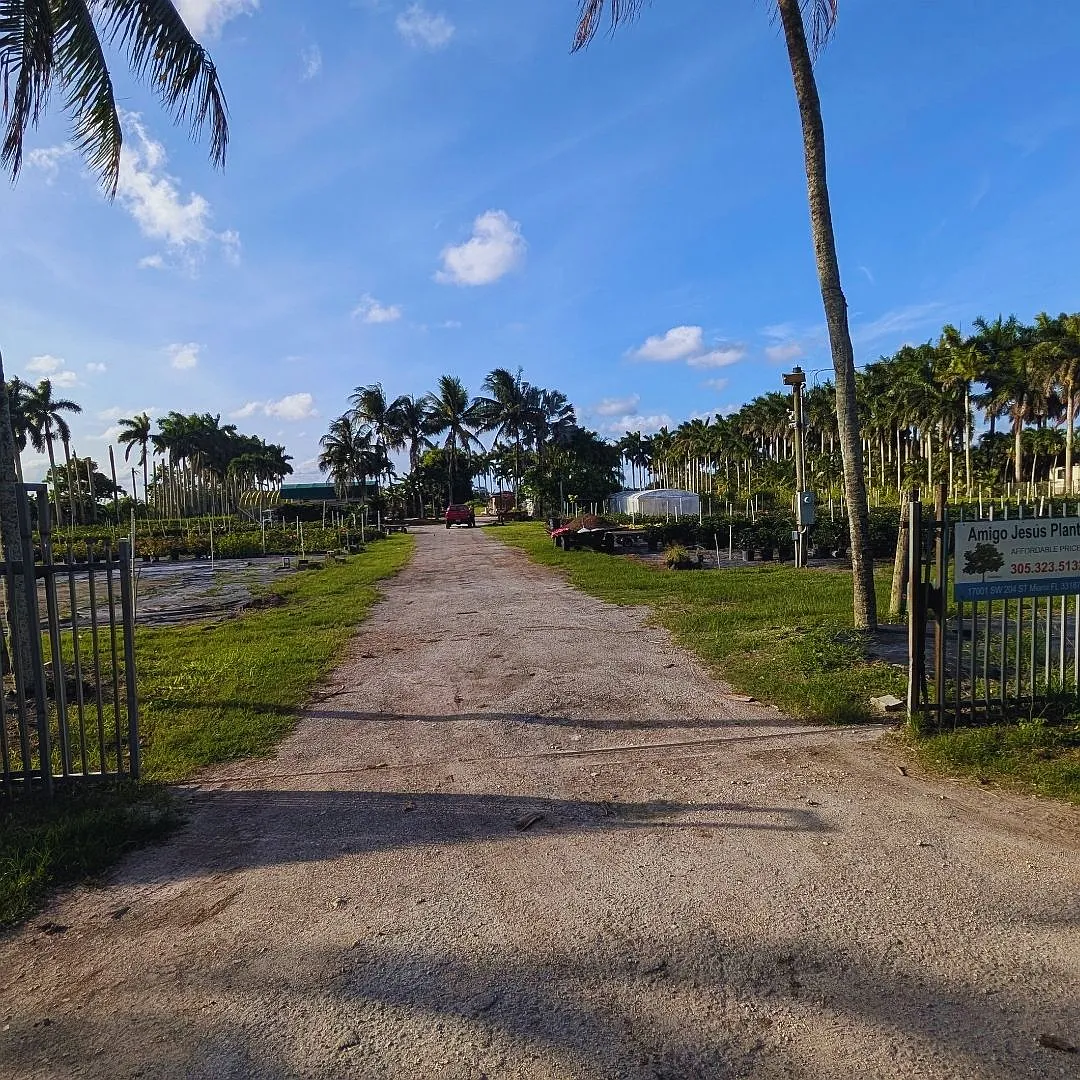 2 bed, 1.0 bath, 420 sqft, $4,000 — Photo 2