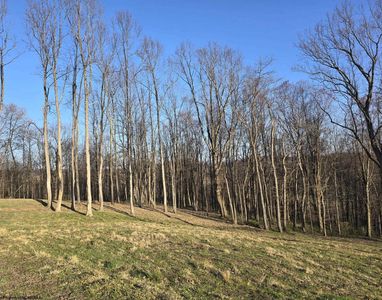 36 Stonecrest Dr, Grafton, WV, 26354