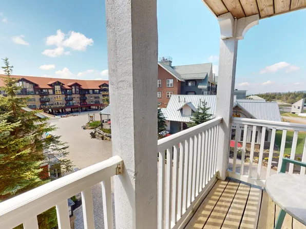 245 Allegheny Springs Ldg, Snowshoe, WV 26209