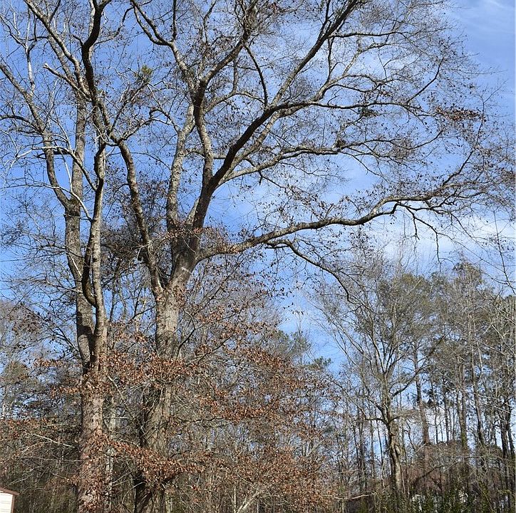 1st image of 350 Lee Road 72
