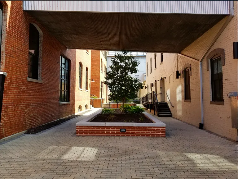The Cameron Lofts — Photo 30