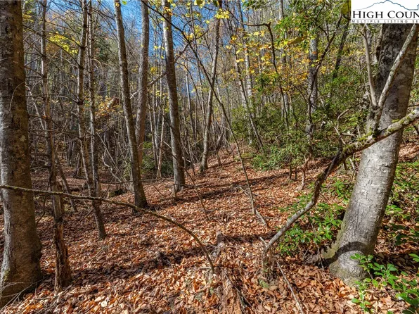 TBD Mill Valley Drive, Jefferson, NC 28640