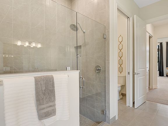 Shower in owner s bath