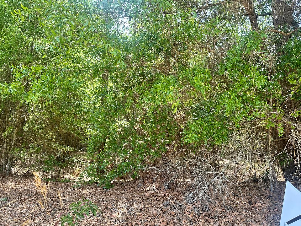 2nd image of 10 Warbonnet Rd