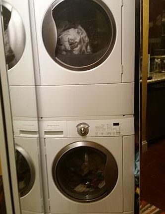 5th image of 4278 NW 89th Ave APT 207