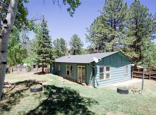 126 Sullivan Street, Bailey, CO 80421