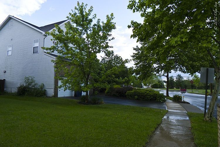 View of the House 2012
