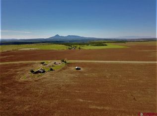 10227 Road Y, Pleasant View, CO 81331