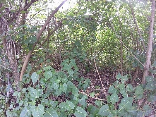 3rd image of Kahi Koa Pl Lot 79