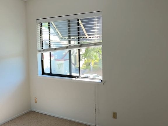4th image of 542 Shorebird Cir #0