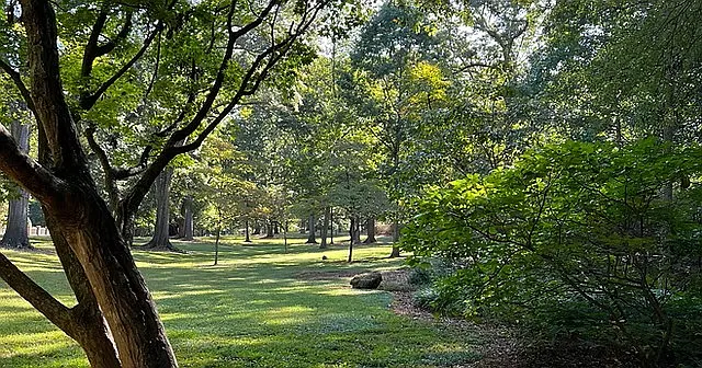 Druid Hill Park
