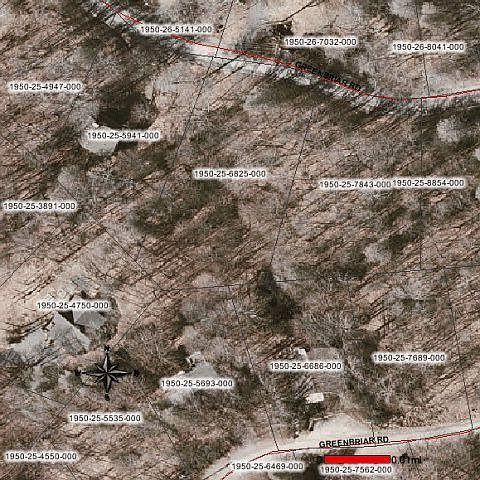 2nd image of 217 Greenbriar Rd