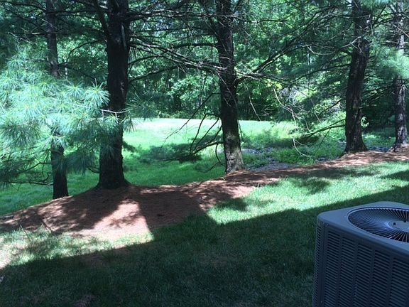 Back Yard View 