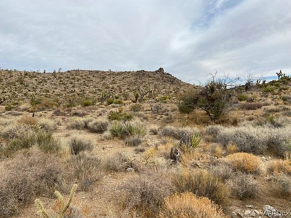 2nd image of 40 Acres 17th Street