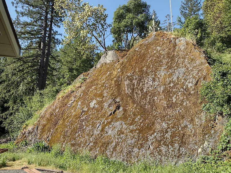 Large rock outcropping in backyard