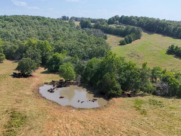 0 Corinth Rd, Ash Flat, AR 72513