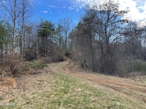 Stephen Ln, Pioneer, TN 37847