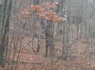 473 Hargrave Rd, Windsor, NY 13865