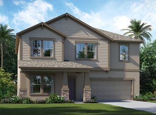 14216 Blue Dasher Dr, Riverview, FL 33569
