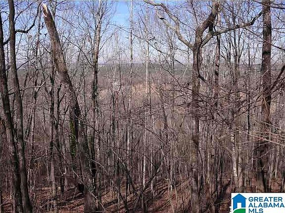 3rd image of 5620 S Shades Crest Rd #1