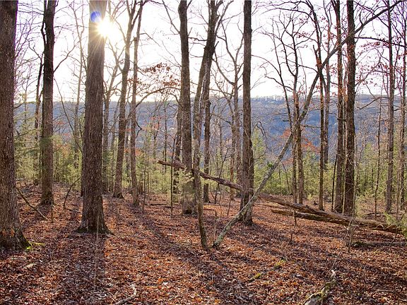 4th image of 175/ACRE S Price Rd