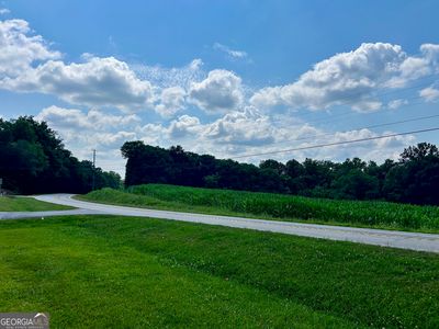 8.94 Acres Hwy #254, Cleveland, GA, 30528