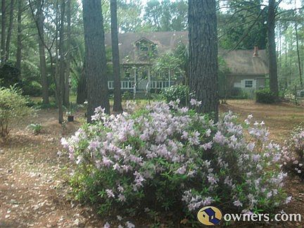 View from driveway