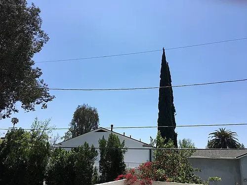 14718 Magnolia Blvd Photo 1