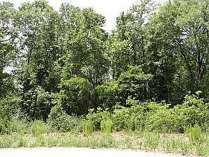 3rd image of 14 Double Creek Ct