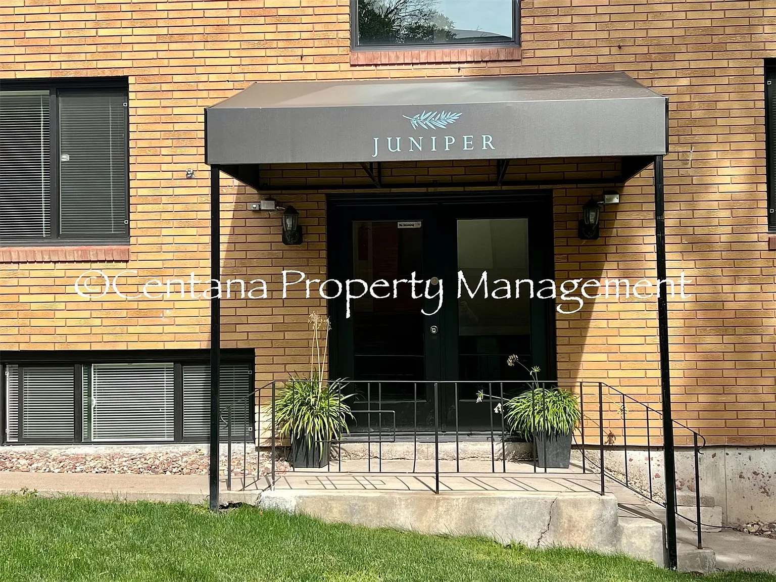 Juniper — Photo 3