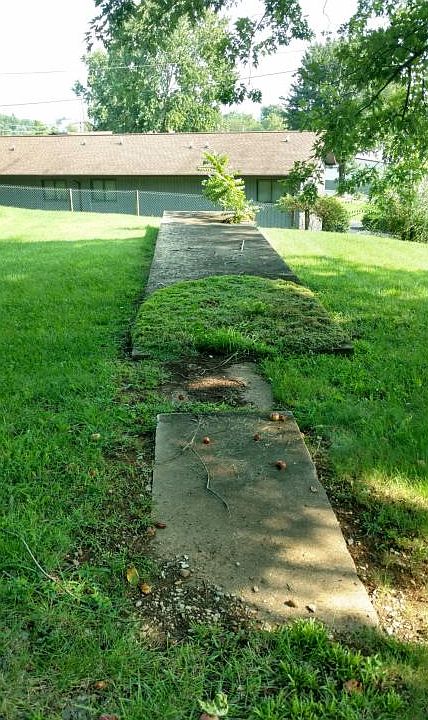 2nd image of 545 Scott County Rd