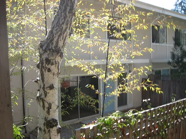 449 Old Coast Hwy #5B — Photo 10